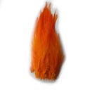 Perie zo sedla kohúta - oranžové 50ks