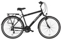 Pánsky trekingový bicykel Ravio Zic Aluminium L rám