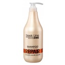 STAPIZ SLEEK LINE REPAIR šampón s hodvábom na poškodené vlasy 1000 ml