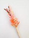 Detská veľkonočná palma zo sušených kvetov