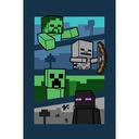 Detská deka Prehoz na posteľ 100 x 150 cm MINECRAFT