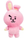 BT21: BT21 COOKY PLYŠ 10-IN (NEBALOVANÝ)