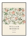 William Morris - Jasmine OBRAZ Z PLAKÁTU 30x40 A3