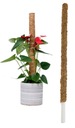 10x Coconut Stake Pole Plant Support 60cm