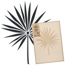 Šablóna na maľbu MULTIPLE M 43x64cm VZOR Tropická PALM Palmové listy