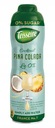 Teisseire sirup 600 ml Pinacolada