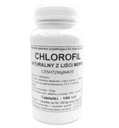 Podkowa chlorofyl s moruše opúšťa životný cyklus buniek