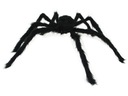 CHLUPATÝ PAVÚK TARANTULA GIANT 70cm HALLOWEEN 8P