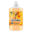 Coccolino Creations Orange Rush aviváž 1,7L 68 praní