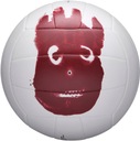 Volejbalová lopta Wilson Volleyball Castaway veľkosť 5
