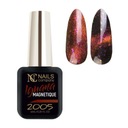 Nails Company magnetický hybridný lak GUANA 2005 6ml