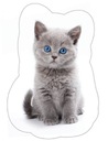 Tvarovaný vankúš Cat Kitten šedý ako darček