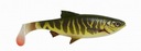 Guma Savage Gear 3D Lb River Roach 22cm Pike