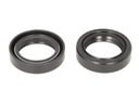 Tesnenia odpruženia Athena P40FORK455025