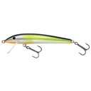 Wobler Gloog Nike 10cm 12g Sinking RGF