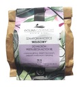 Dolina Czeremchy SHAMPOO kocka MELISA lupiny
