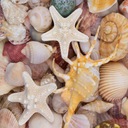 OBROVSKÝ 3D PLÁŽOVÝ OTERÁK VEĽKÉ MUŠLE BEACH K6