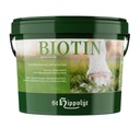 Biotín ST.HIPPOLYT Biotín 2,5kg granulát