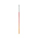 BLEND IT PINK SUNSET Precise Smudge PRO 231