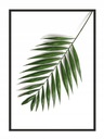 OBRAZOVÝ PLAGÁT V RÁME 53x73 cm List P875