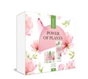 Sada POWER OF PPLANTS ROSE