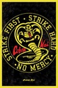 Plagát zo série Cobra Kai Emblem 61x91,5cm