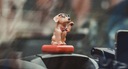 SOLAR TOY DOG DOG KÝVANIE HLAVY PRL