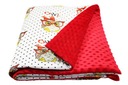 BABY DEKA MINKY 80x100 PRE DETI