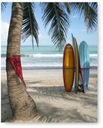 Obraz plagátu PALM BEACH SURFING 40x50 cm #118