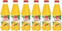 6x 1L fľaša pomarančového džúsu FORTUNA BAL