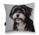 VANKÚŠ so psíkom Havanese Havanese 40x40 perfektný DARČEK mäkký na spanie