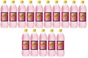 15x 850ml SCHWEPPES Nápoj z lesných plodov BAL