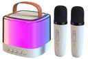 KARAOKE SET 5W DVA RGB MIKROFÓNY USB SD AUX BLUETOOTH