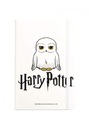 Linajkový zápisník, 96 listov A5, Harry Potter Hedviga
