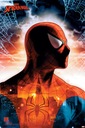 Plagát z komiksu Marvel Spider Man 61x91,5 cm