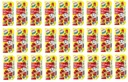 27x 200ml HORTEX Leon multiovocná šťava BAL