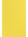 Papier A4 Sirio Color 210g Limone - 25 listov