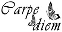 Nálepky na stenu Carpe diem 50