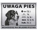 Tablet 20x15 Pozor pre pes vstúpite svojím vlastným rizikovým kuriérom Berneńczyk