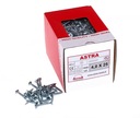 SKRUTKA 4X25 /1000 KS/ ASTRA
