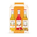 Monin - limonádový sirupový set 3x250ml