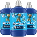 Coccolino Creations Passion Flower & Bergamot Aviváž 4,8L 192pr