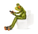 FÁRKA ŽABKA SO SMARTFÓNOM NA WC, 11 CM