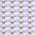 Bella vlhčené obrúsky s alantoínom 10 ks x28