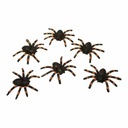 Halloweenske ozdoby My Other Me Spider Shiny (6 uds) (6 x 7 cm)