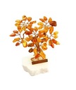 Tree Tree Amber Souvenir Gift+Cert