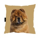 VANKÚŠ so psíkom CHOW CHOW 40x40 DARČEK mäkký