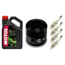 HONDA VFR 1200 F 10-15 olej + filter + sviečky