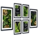 6 ks obrazov Tropical Monstera do obývačky, 205x91
