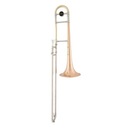 Arnolds & Sons ASL-360 TENOR TROMBONE